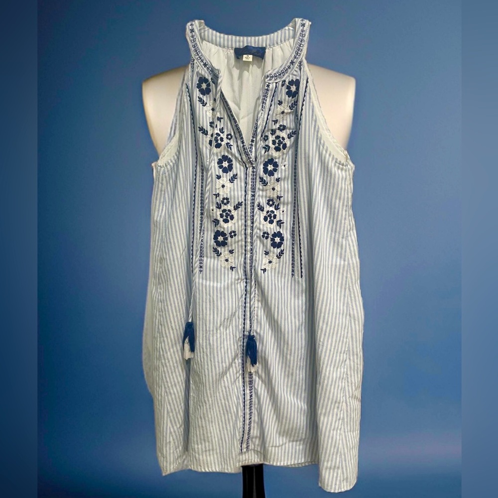 Blue Rain sleeveless dress with embroidered detail.